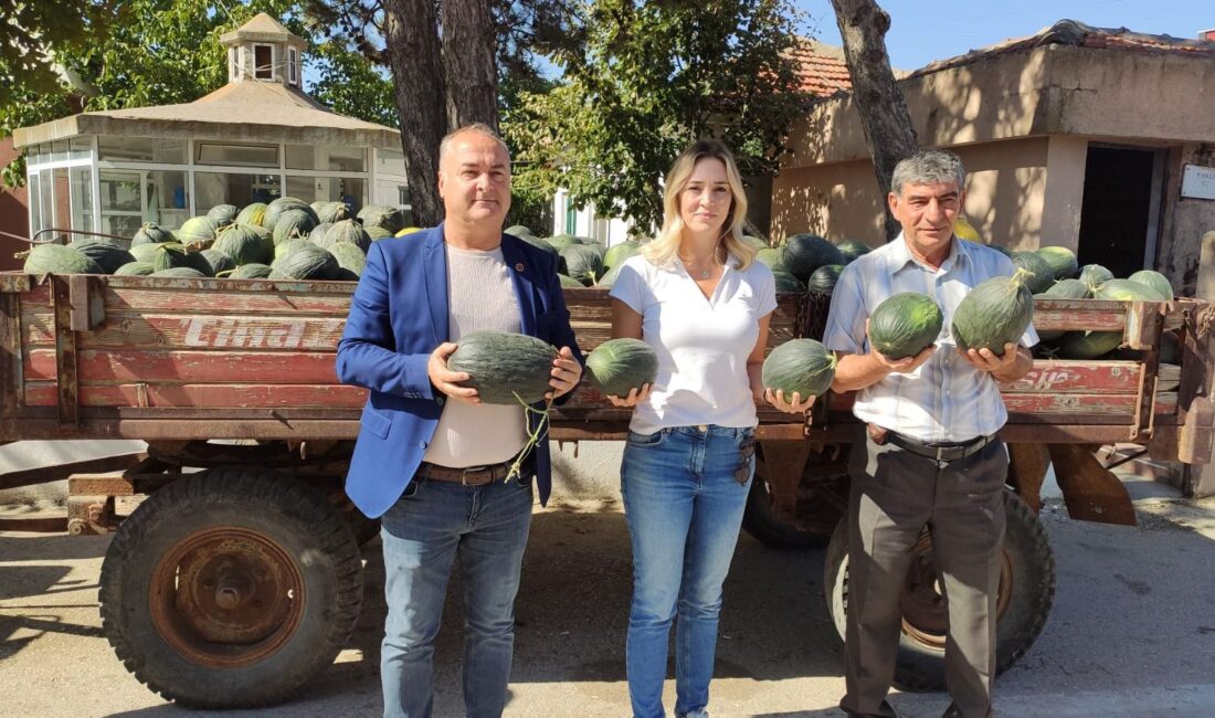 CHP Edirne İl Başkanı