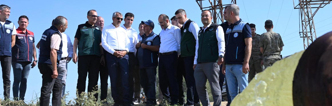 Edirne Valisi Yunus Sezer, Devlet